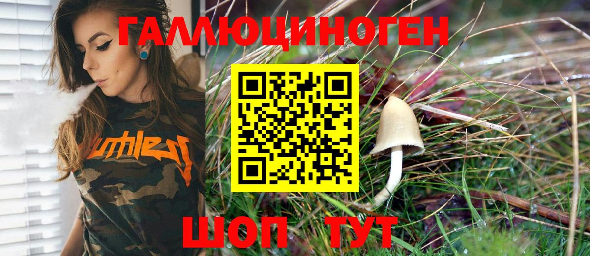 Галлюциногенные грибы MAGIC MUSHROOMS  Вход с VPN  Псилоцибиновые грибы Psilocybe  Уссурийск 