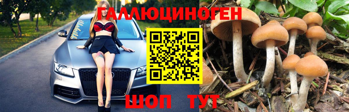 Псилоцибиновые грибы MAGIC MUSHROOMS Уссурийск